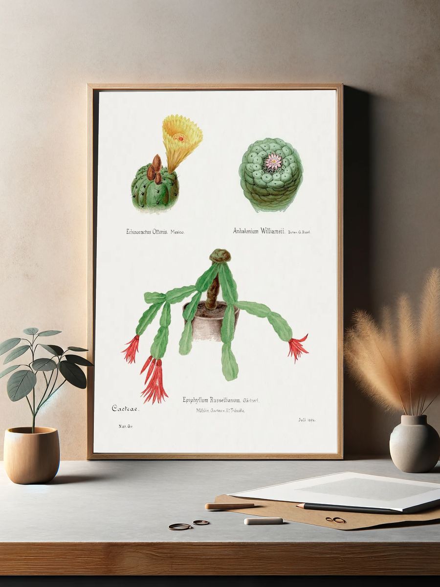 Cactus Botanical Illustration Poster. — room view 2