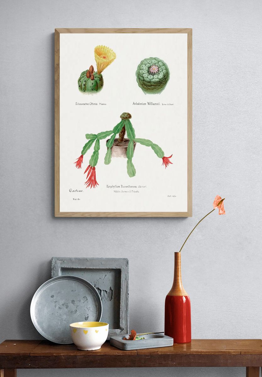 Cactus Botanical Illustration Poster. — room view 3
