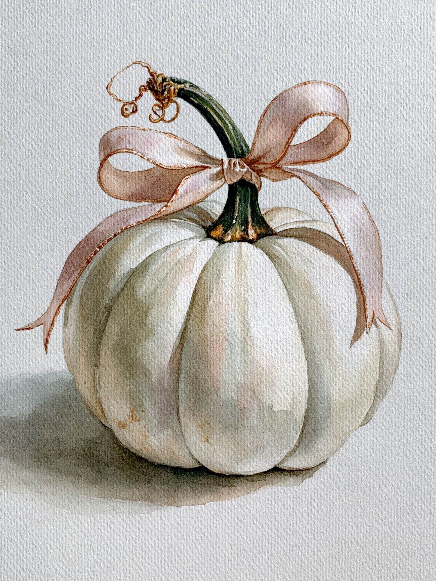 White Pumpkin Watercolor Print. poster — botanical art