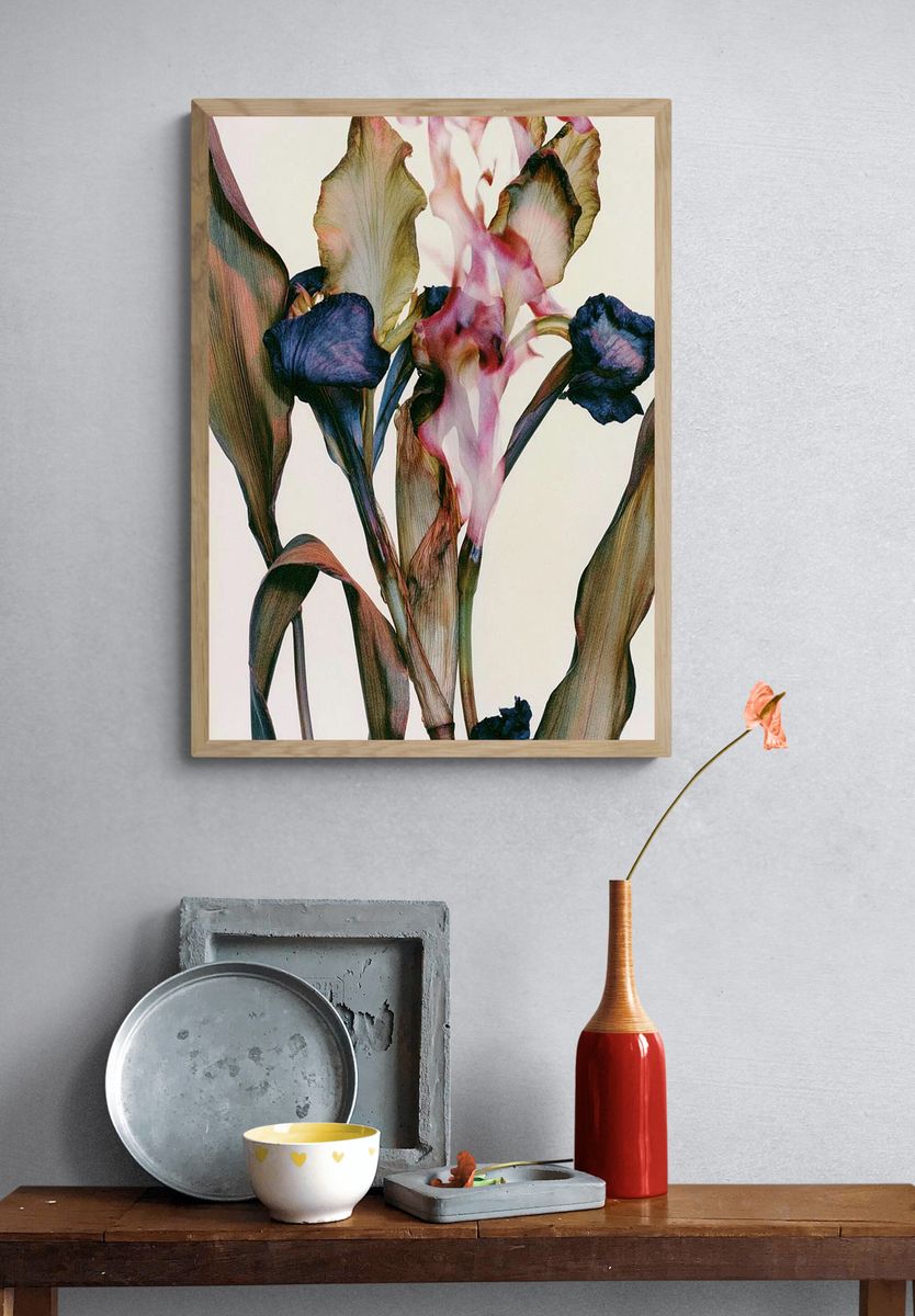 Abstract Iris Bloom Print. — room view 3