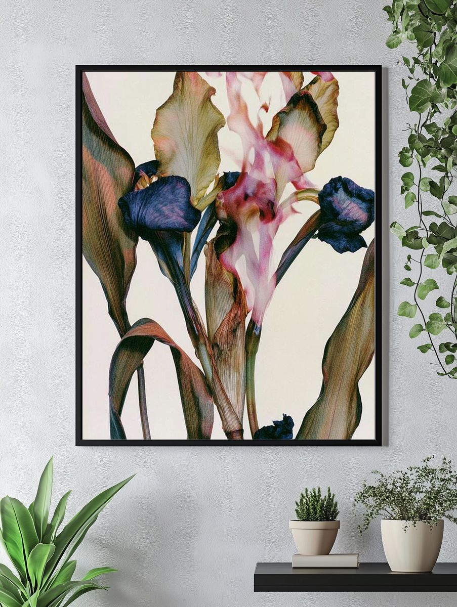 Abstract Iris Bloom Print. — room view 4