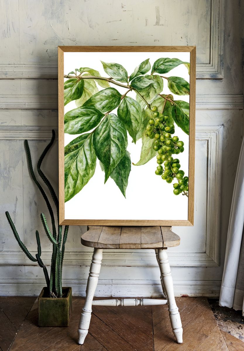 Green Pepper Vine Botanical Print. — room view 1