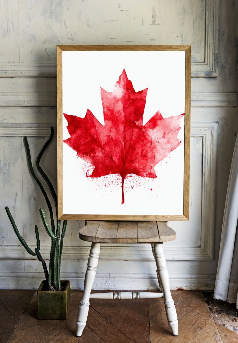 Red Maple Leaf Watercolor Print. — room view 1