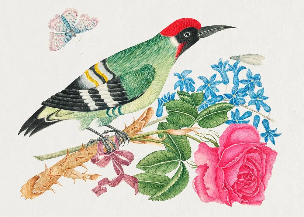 18th century illustration European green. poster detail