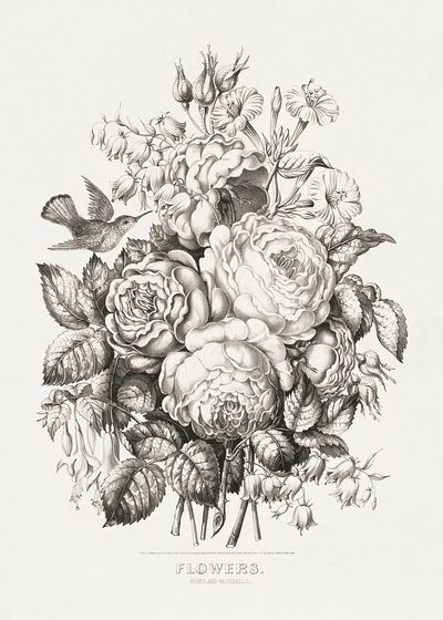 Roses bluebells (1870) chromolithograph art. poster print