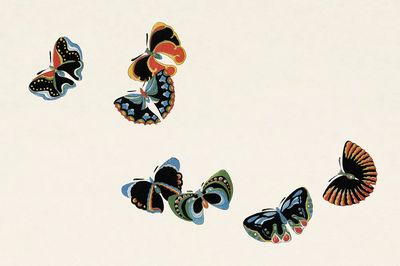 Japanese woodblock butterfly.