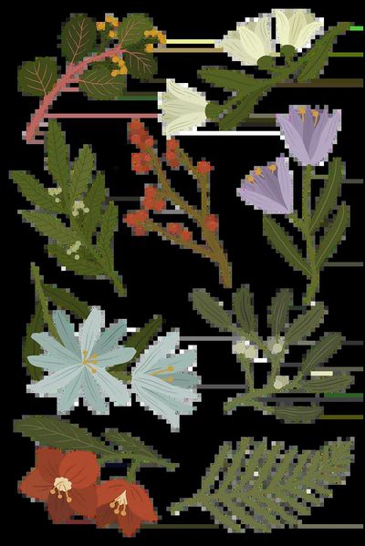 Floating Blossoms Forest Print.