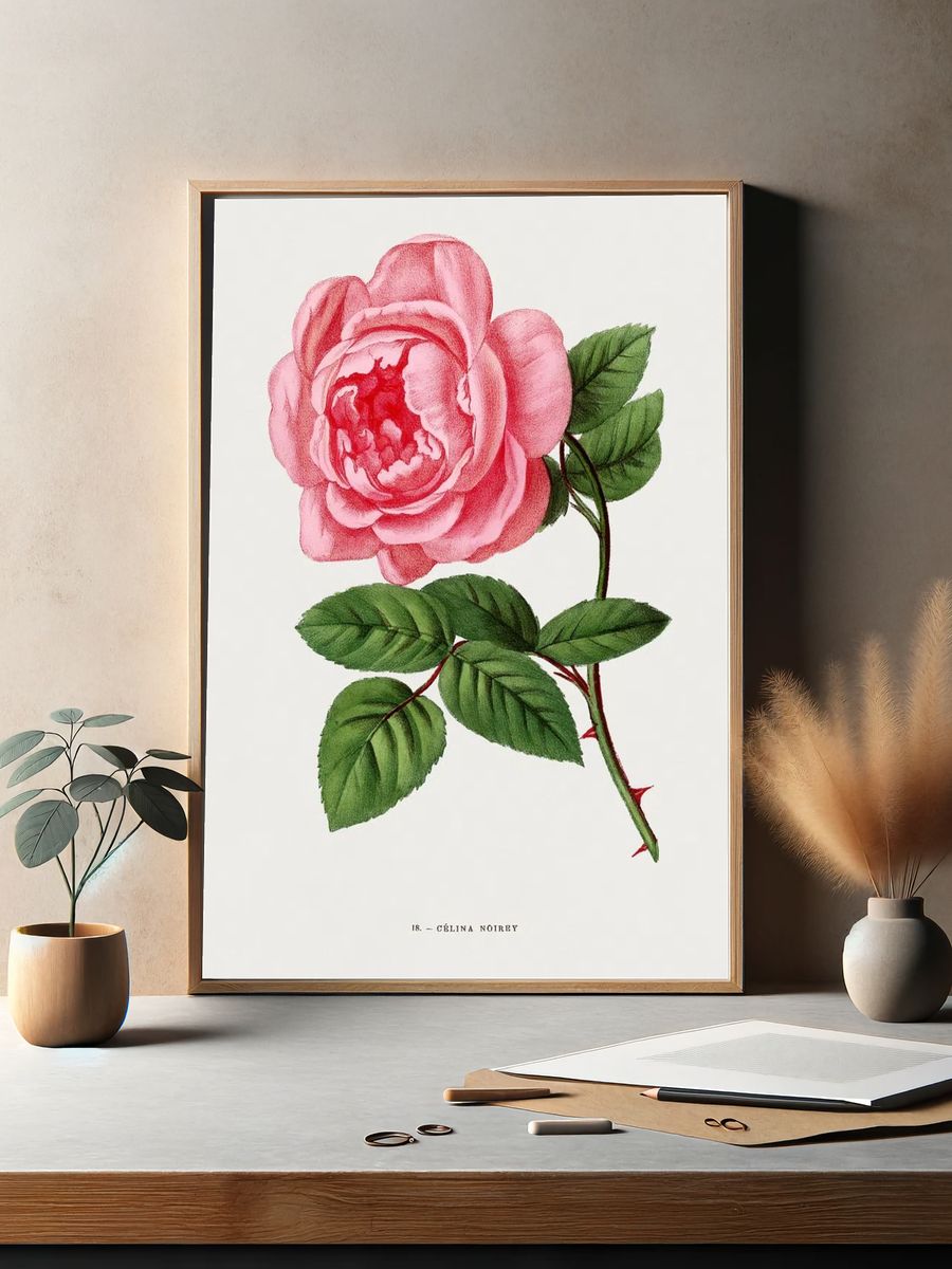 Celina Noirey rose, vintage flower. — room view 2