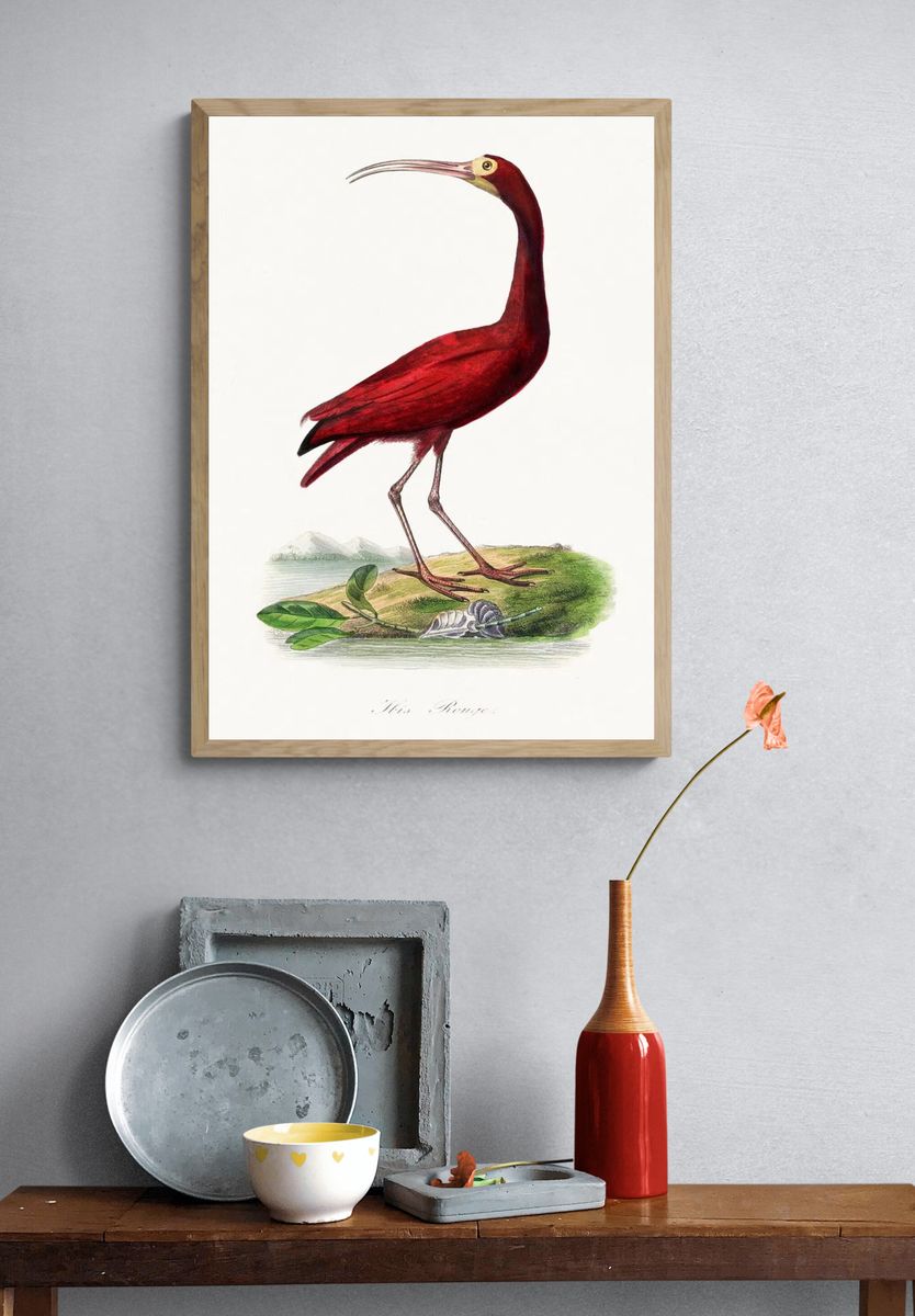Scarlet ibis bird painting. Digitally. — room view 3