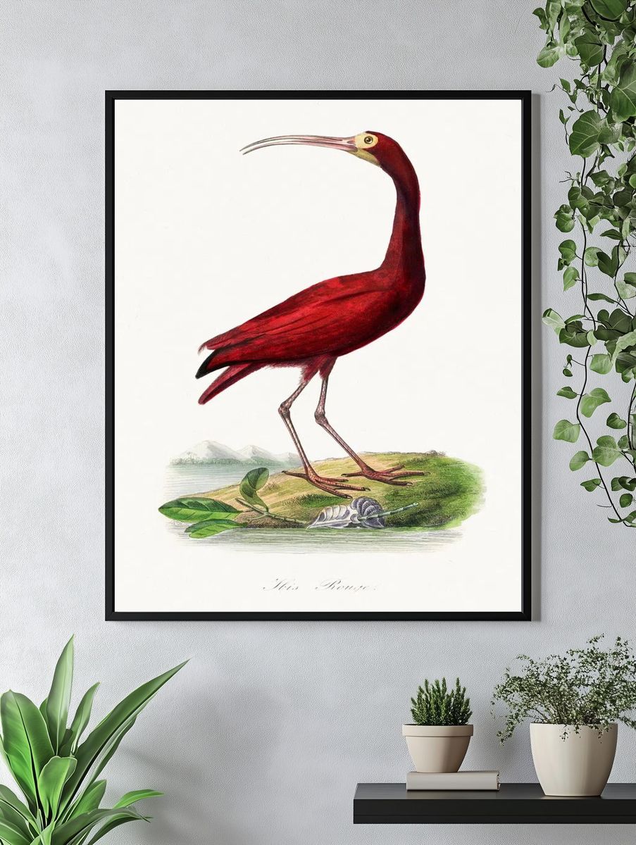 Scarlet ibis bird painting. Digitally. — room view 4