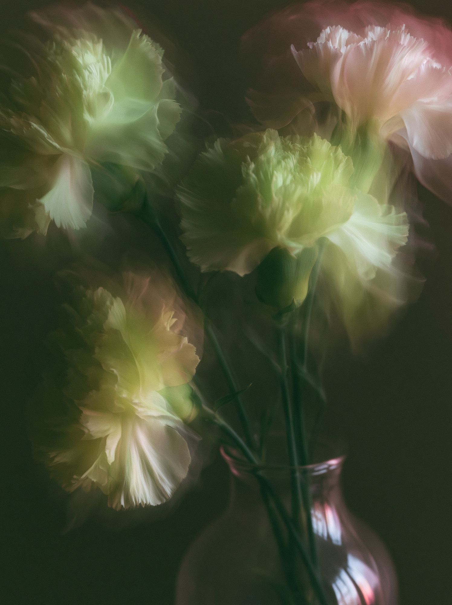 Dreamy Floral Bloom Print. poster — botanical art