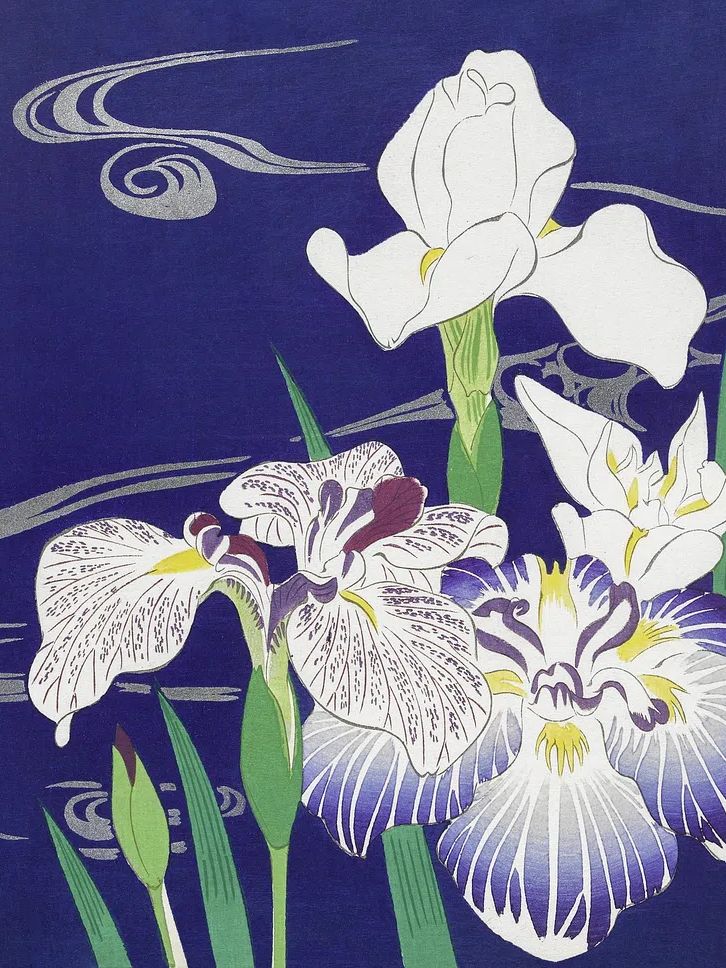 Irises (1890–1900) Kogyo Tsukioka. Original. poster — botanical art