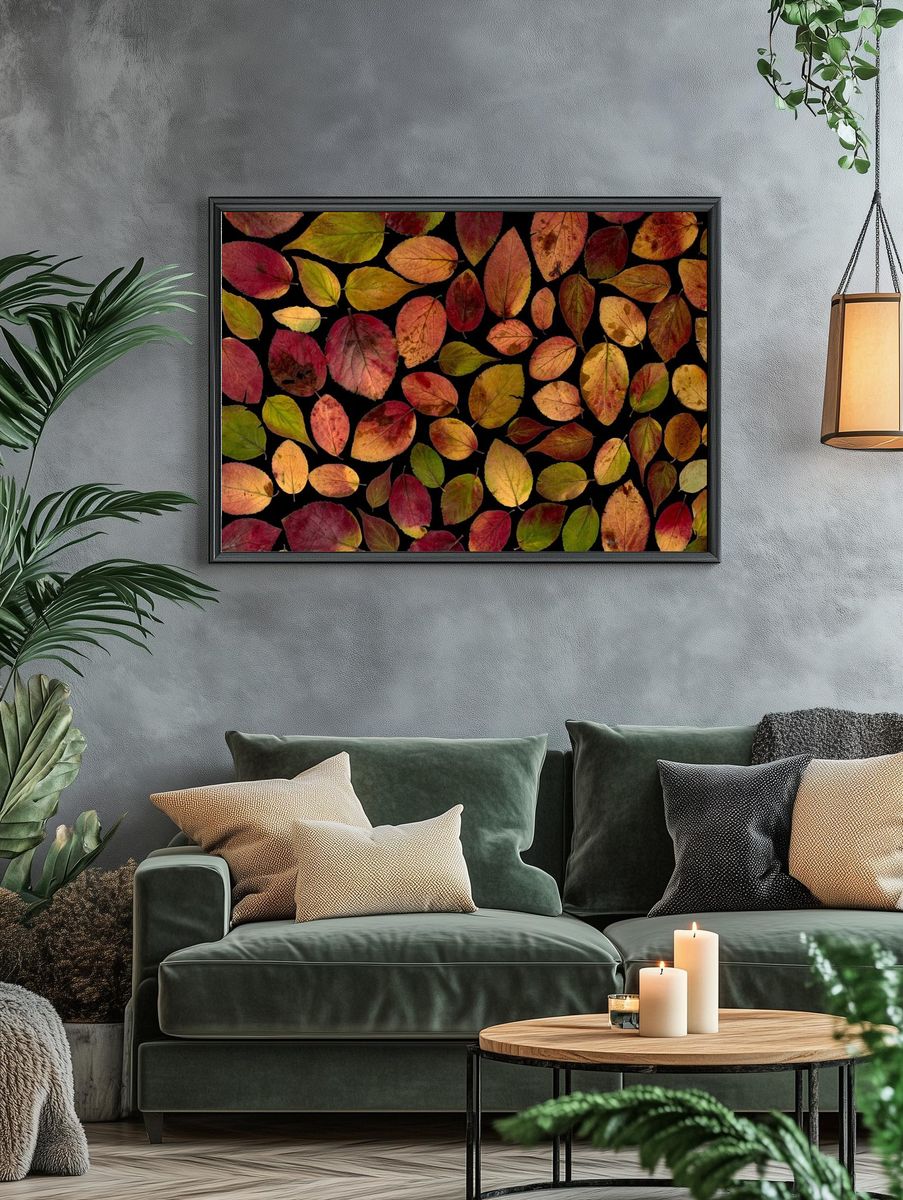 Maple leaves arranged flat surface. — room view 4