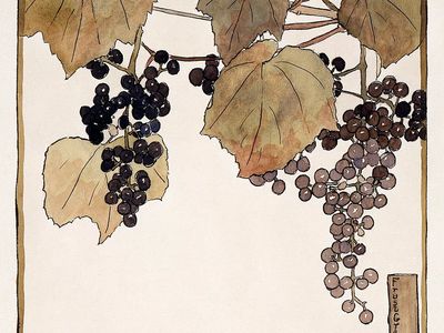 Frost Grape (1915) Hannah Borger. poster