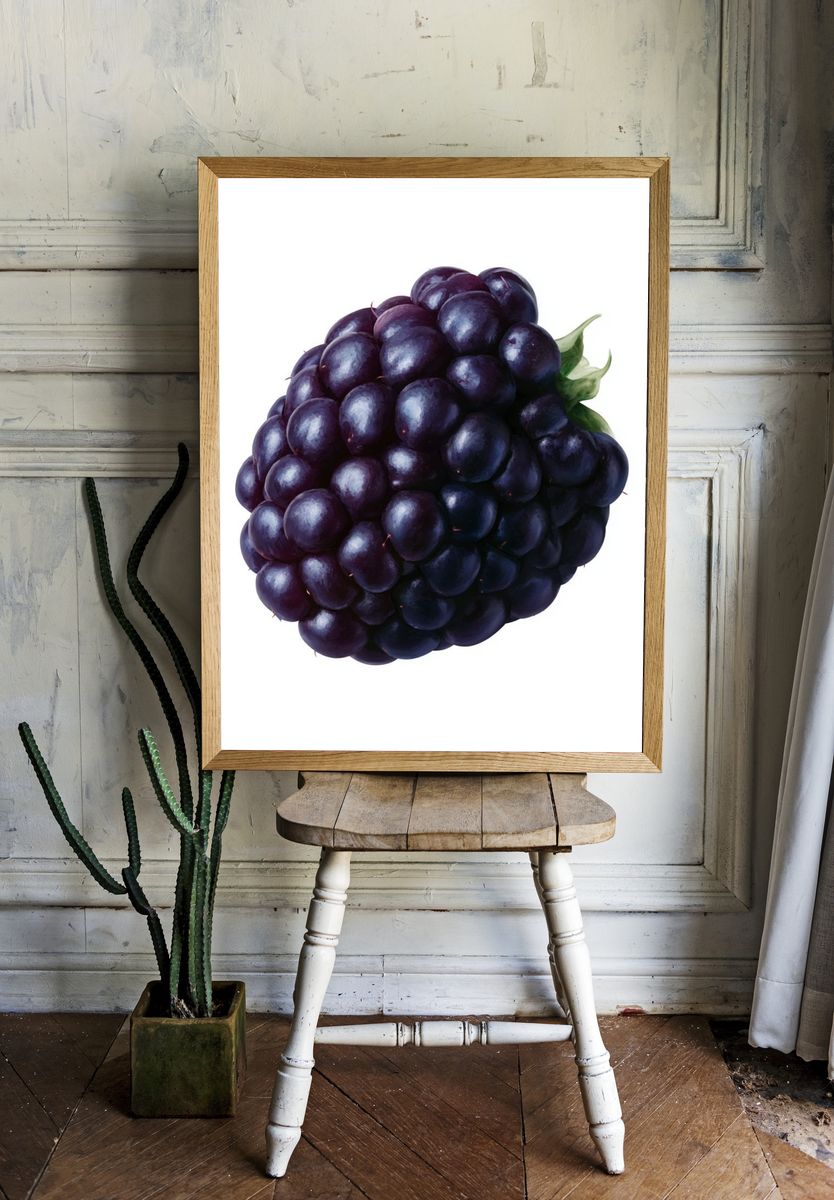 Blackberry Still Life Illustration Poster. room preview