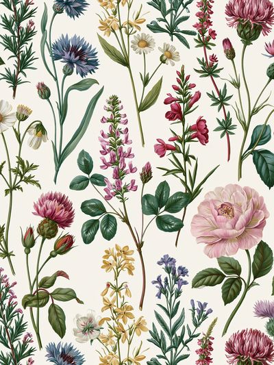 Wildflower Botanical Print.