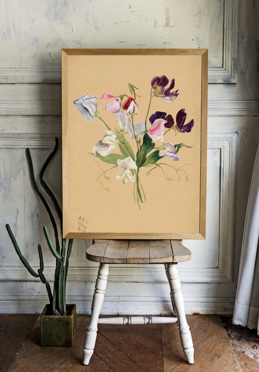 Flower Study (1886) Mary Vaux. room preview