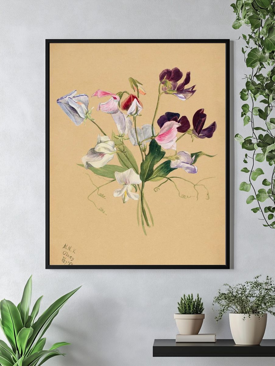 Flower Study (1886) Mary Vaux. — room view 4
