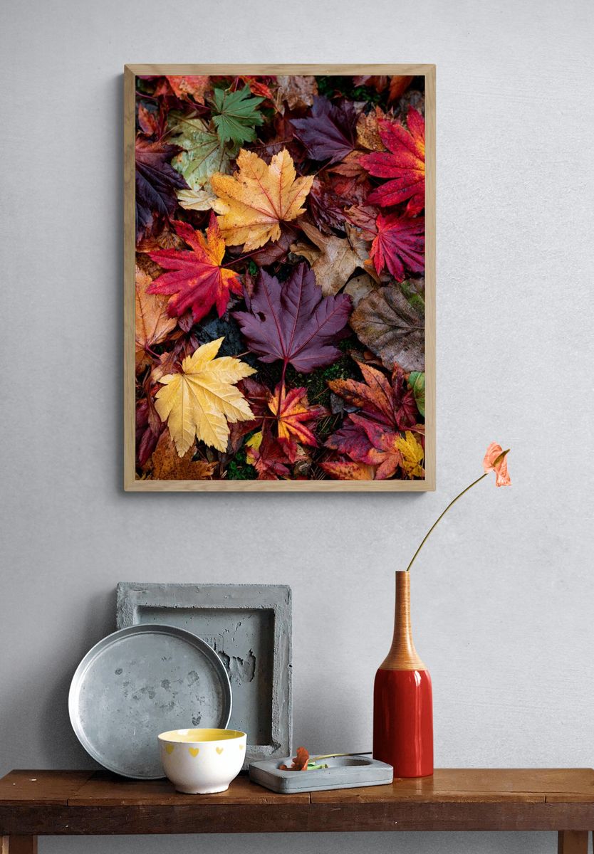 Autumn Maple Leaves Botanical Print. — room view 3