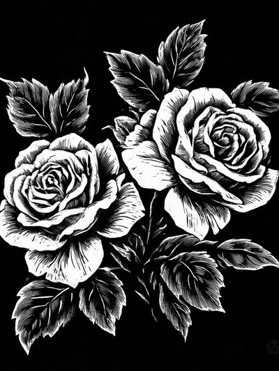 Black and White Roses Illustration Poster.