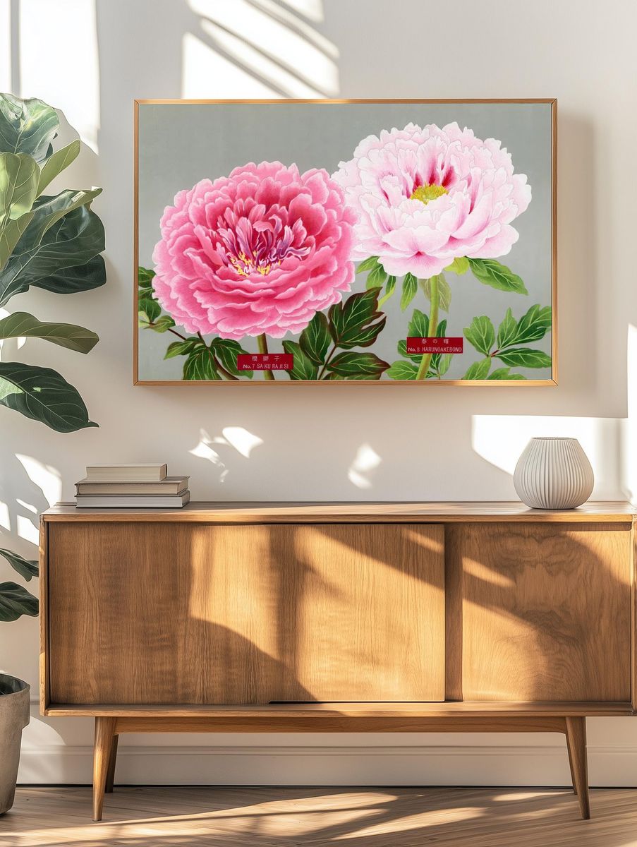 Pink peonies, vintage flower print. — room view 3