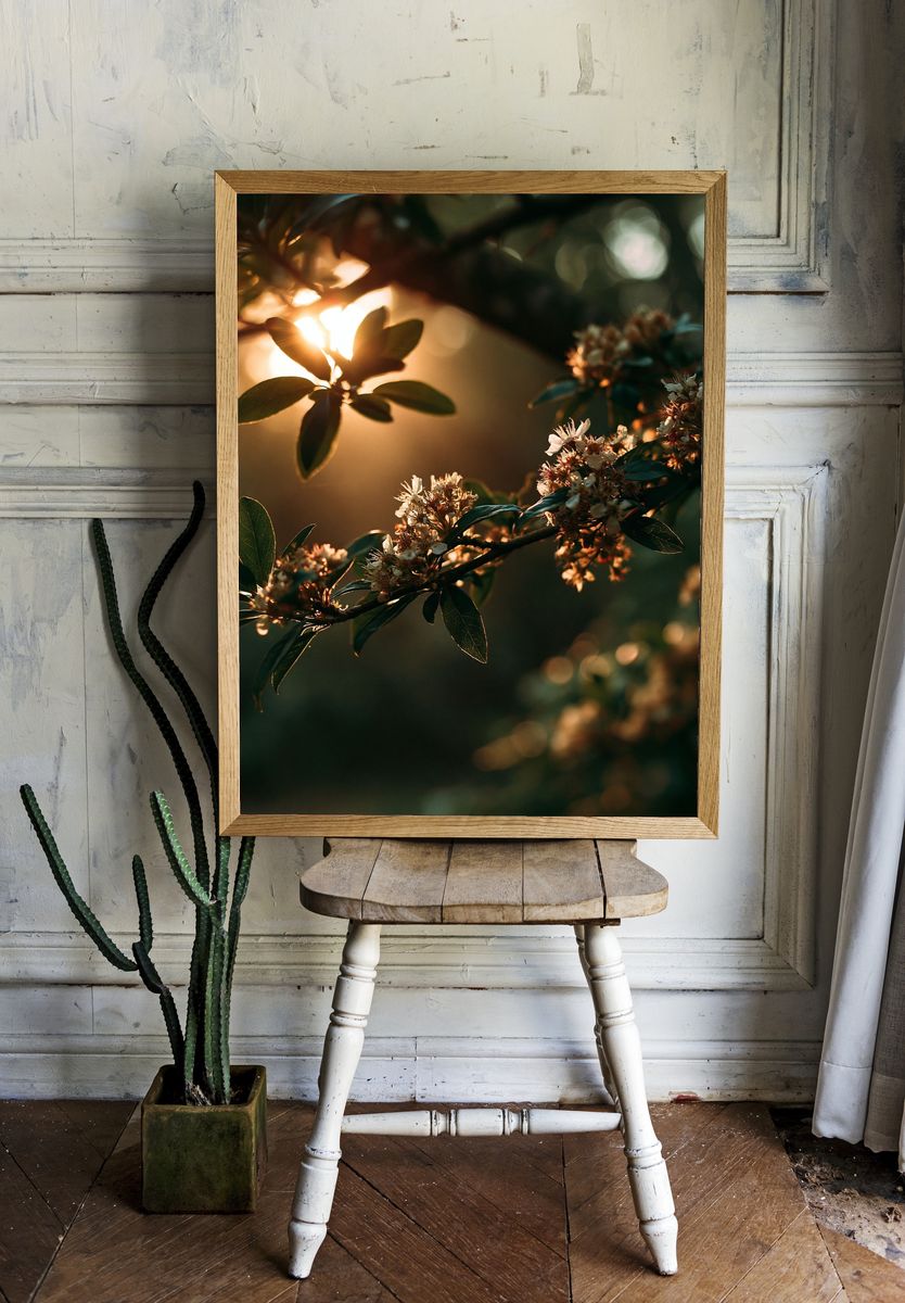 Golden Blossom Branch Photography Poster. — room view 1
