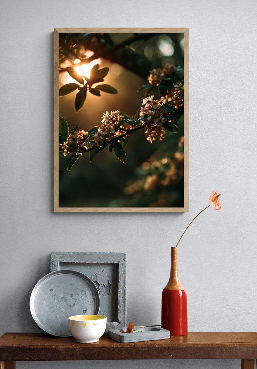 Golden Blossom Branch Photography Poster. — room view 3