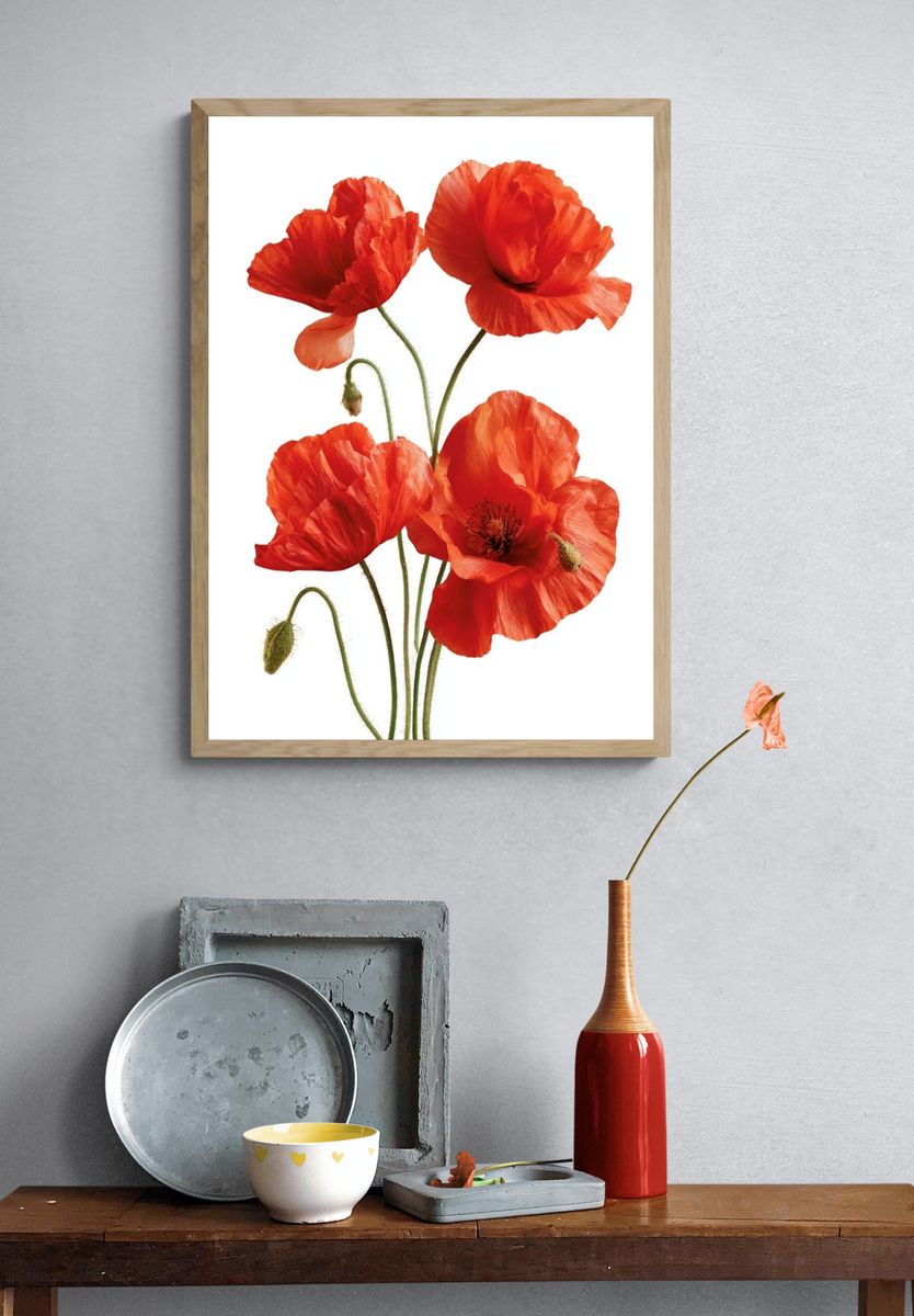 Red Poppy Botanical Poster. — room view 3
