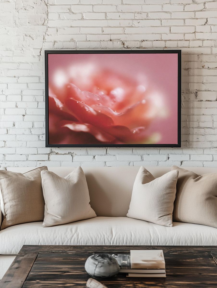 Soft Pink Flower Macro Print. — room view 1