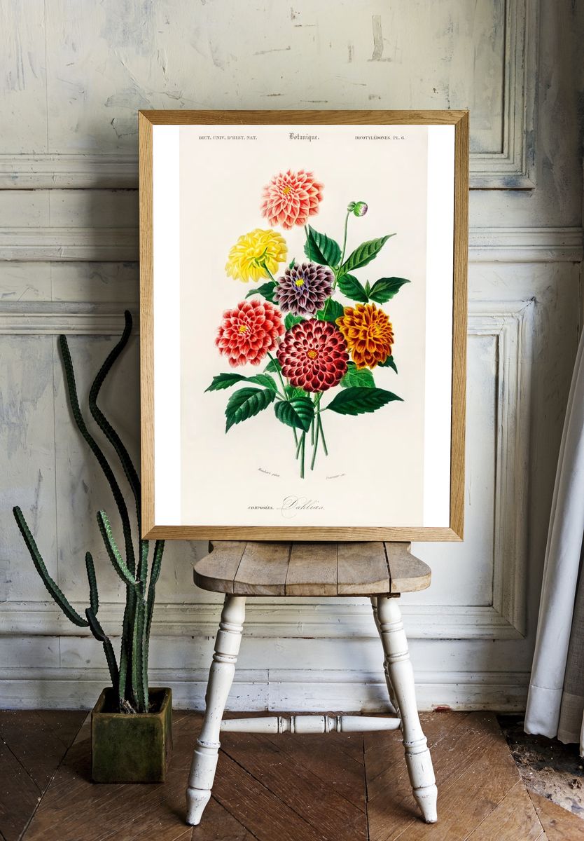 Dahlia illustrated Charles Dessalines D'. — room view 1