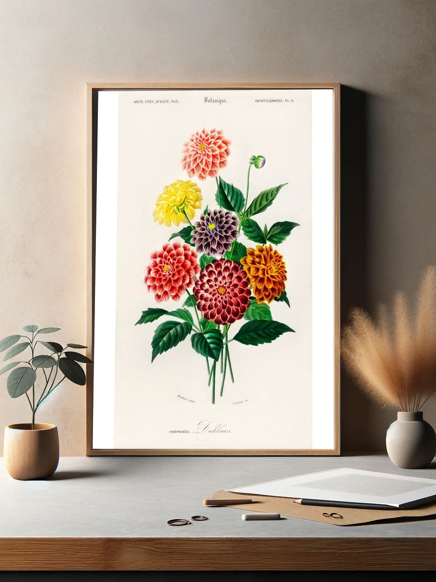 Dahlia illustrated Charles Dessalines D'. — room view 2