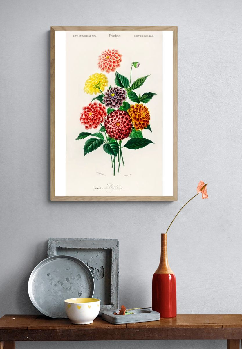 Dahlia illustrated Charles Dessalines D'. — room view 3
