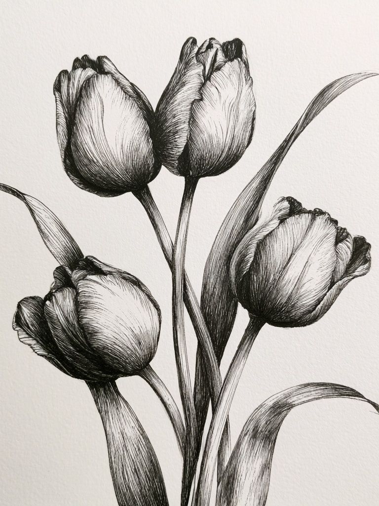 Tulip Bouquet Ink Print. poster — botanical art