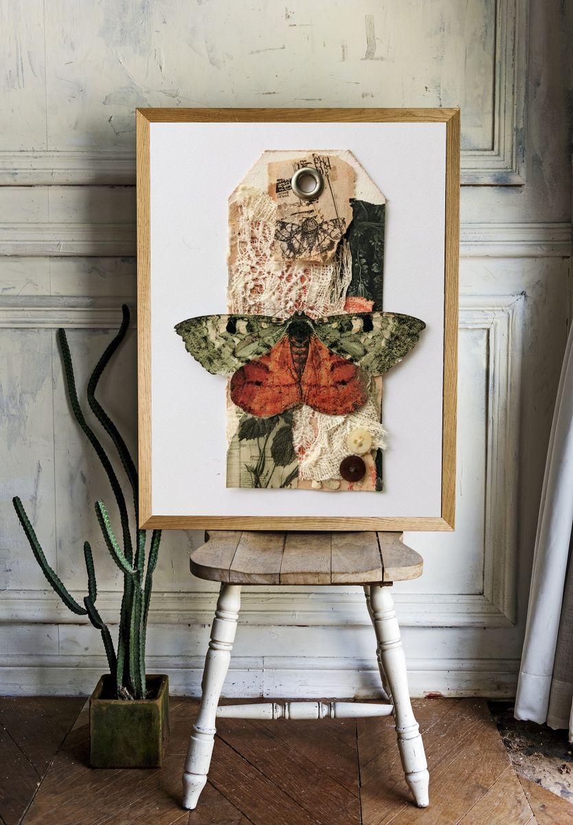 Vintage Moth Collage Poster. — room view 1