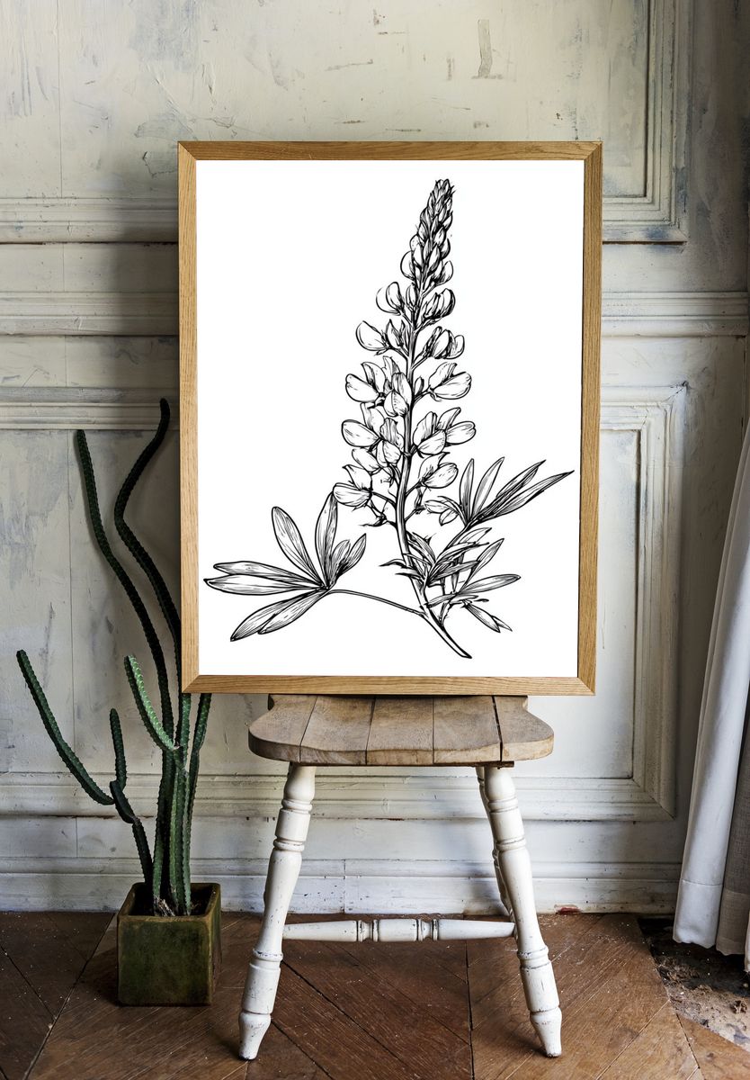 Botanical Lupine Line Art Poster. — room view 1