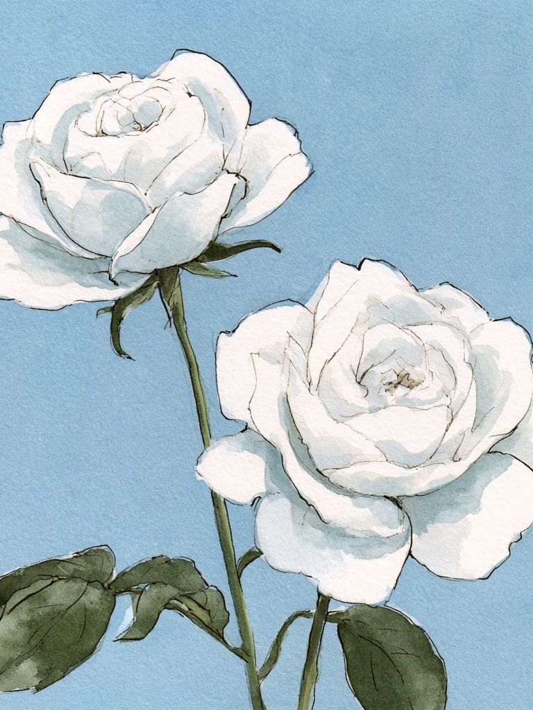 White Roses Watercolor Print. poster detail