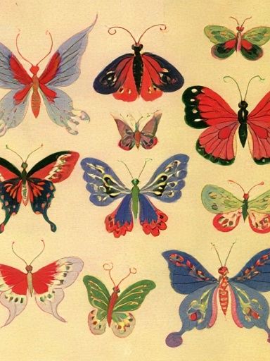 Butterfly Study Illustration Poster. poster detail