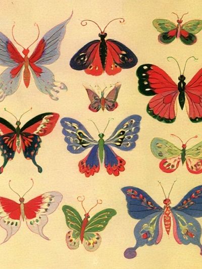 Butterfly Study Illustration Poster.