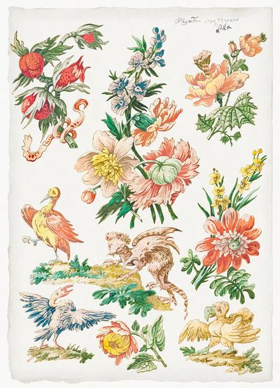 Floral Designs Birds Griffon (1784).