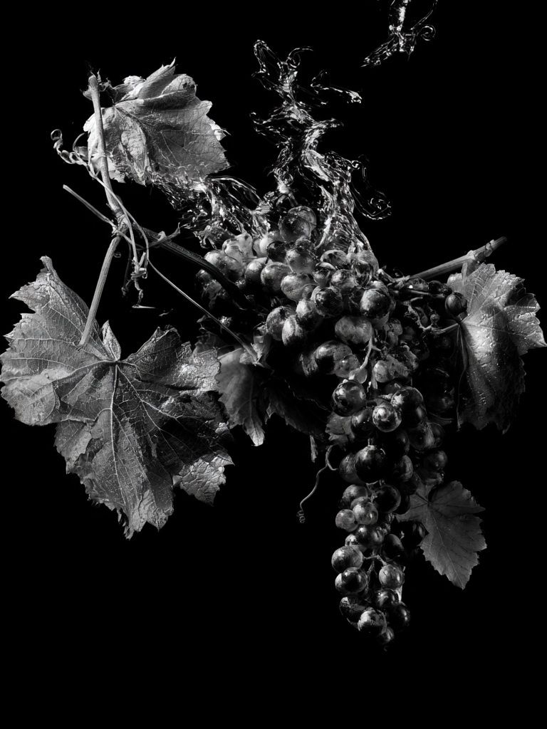 Black Grapes Still Life Poster. poster detail