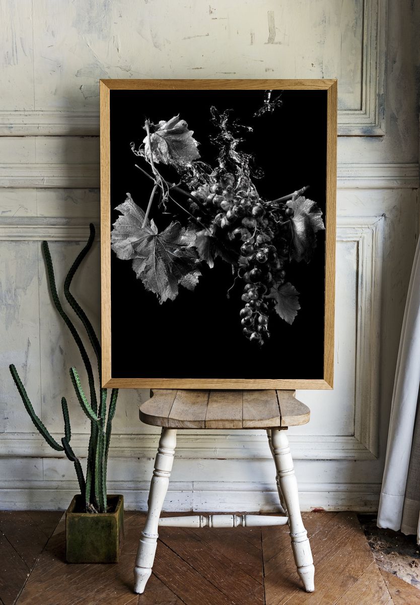 Black Grapes Still Life Poster. room preview