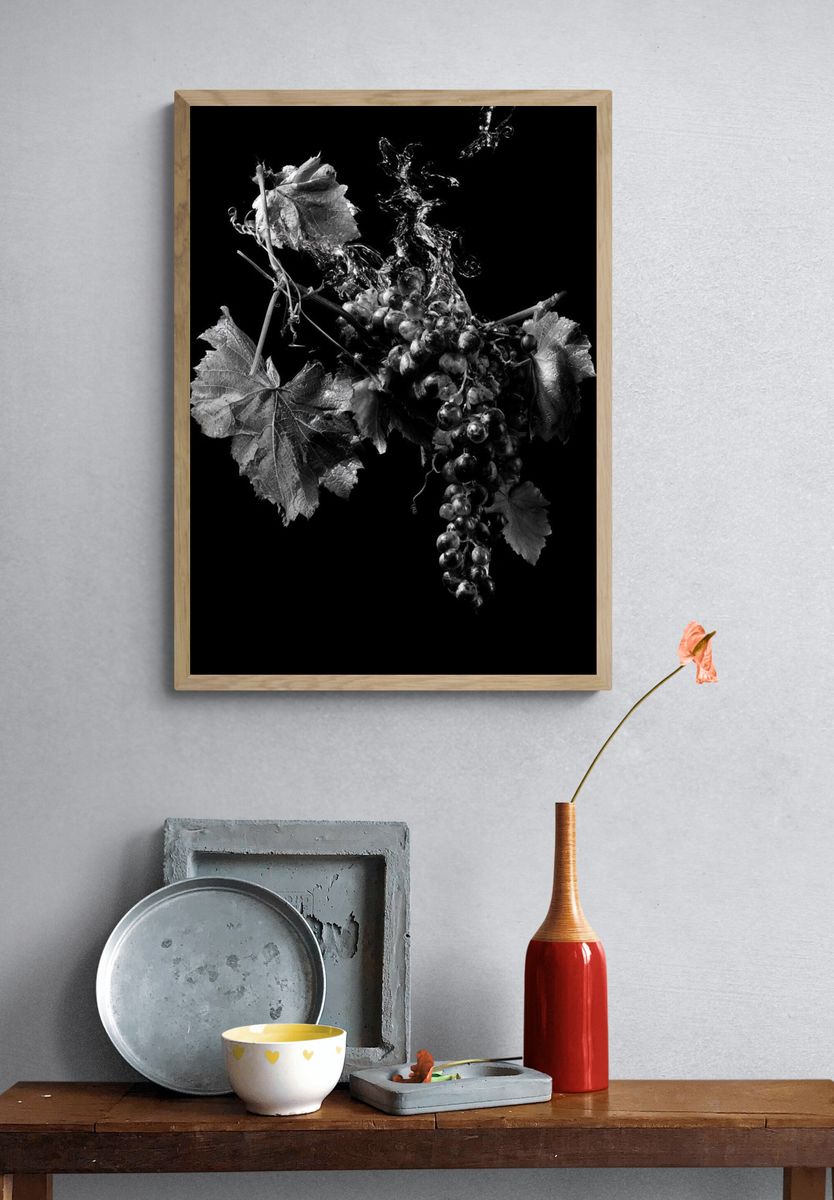 Black Grapes Still Life Poster. — room view 3