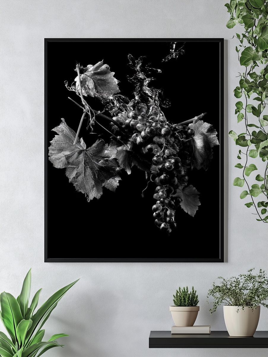 Black Grapes Still Life Poster. — room view 4