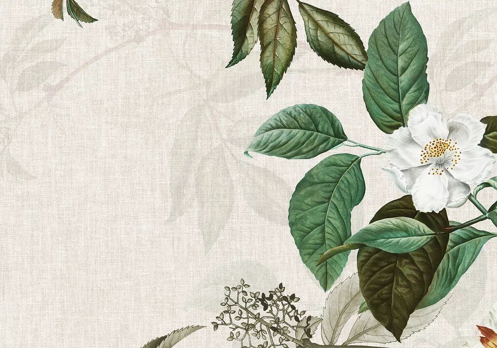 Weaved background musk rose illustration. poster detail