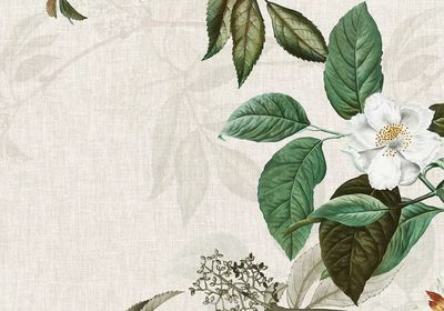 Weaved background musk rose illustration. poster