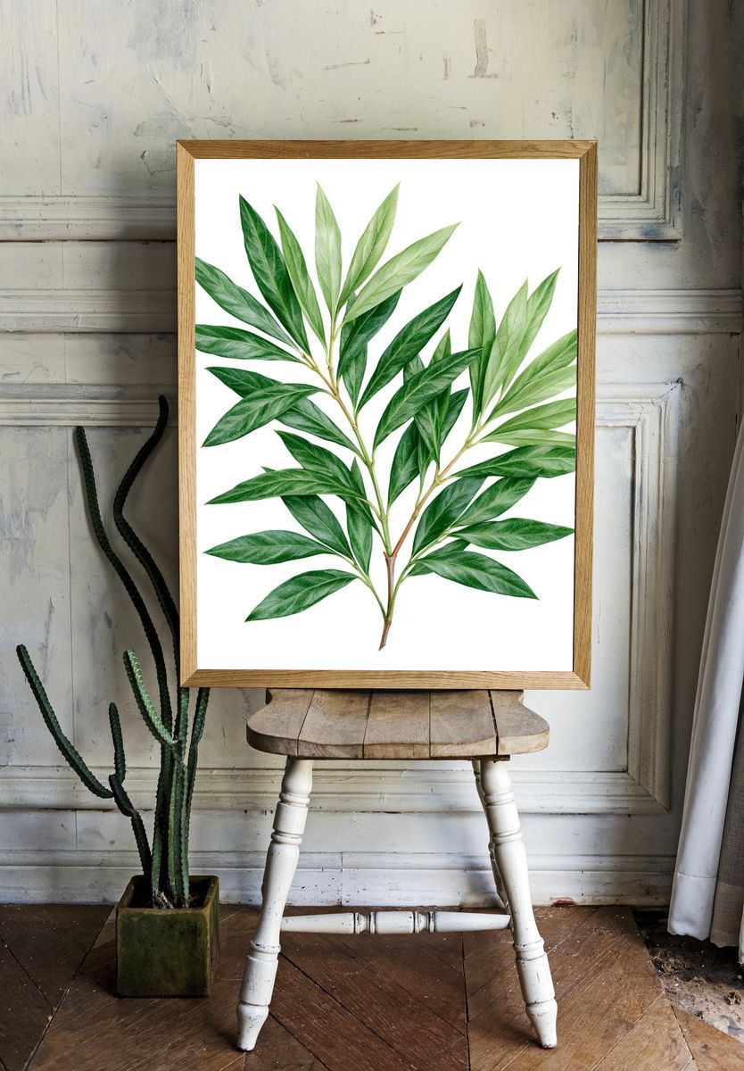 Green Botanical Leaves Print. room preview