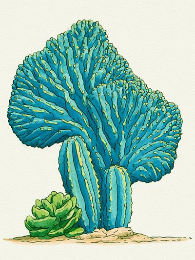 Blue Coral Cactus Watercolor Print. poster