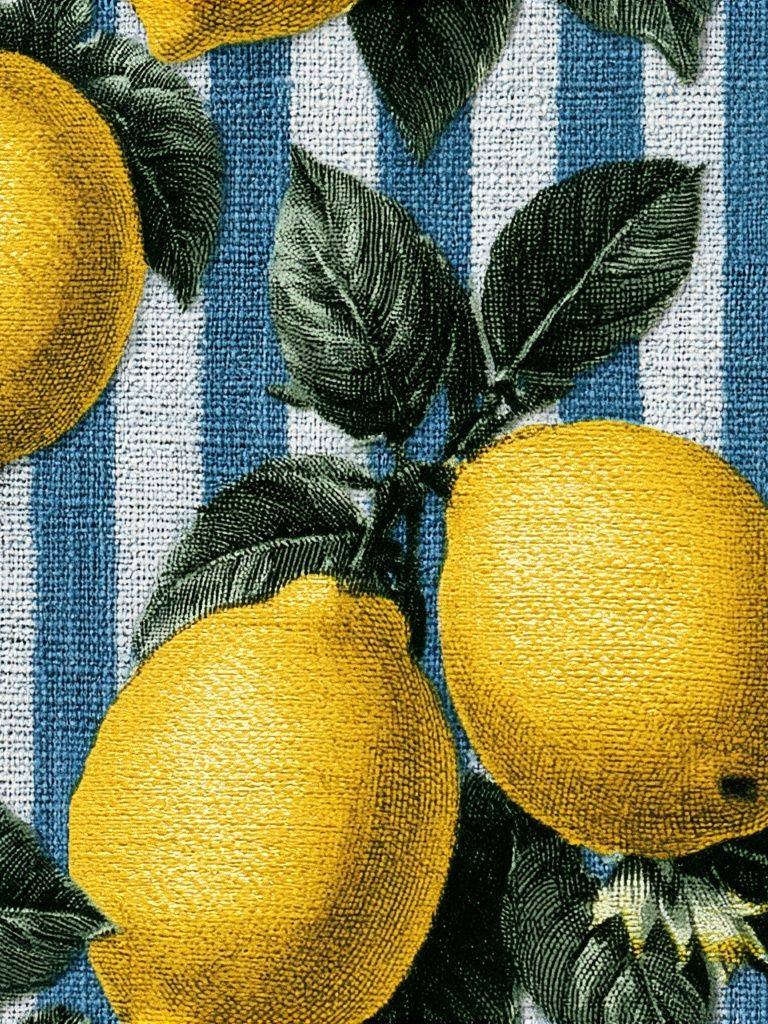 Lemon Stripe Botanical Print. poster — botanical art