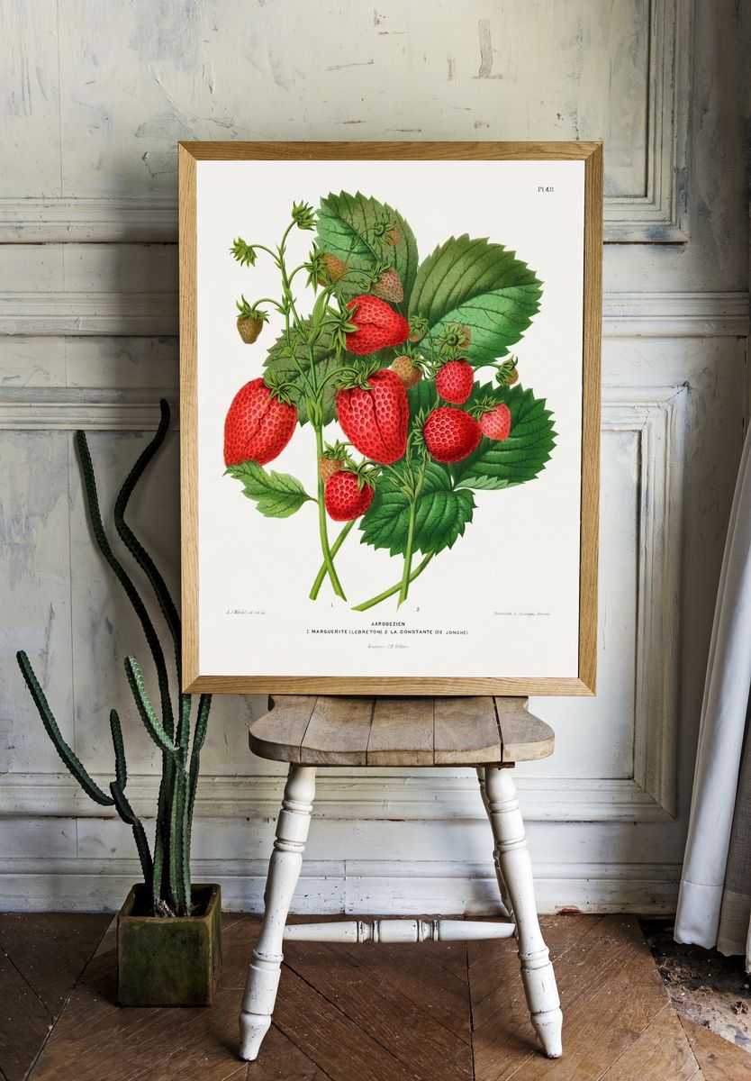 Aardbezien (strawberry) chromolithograph plates Abraham. — room view 1