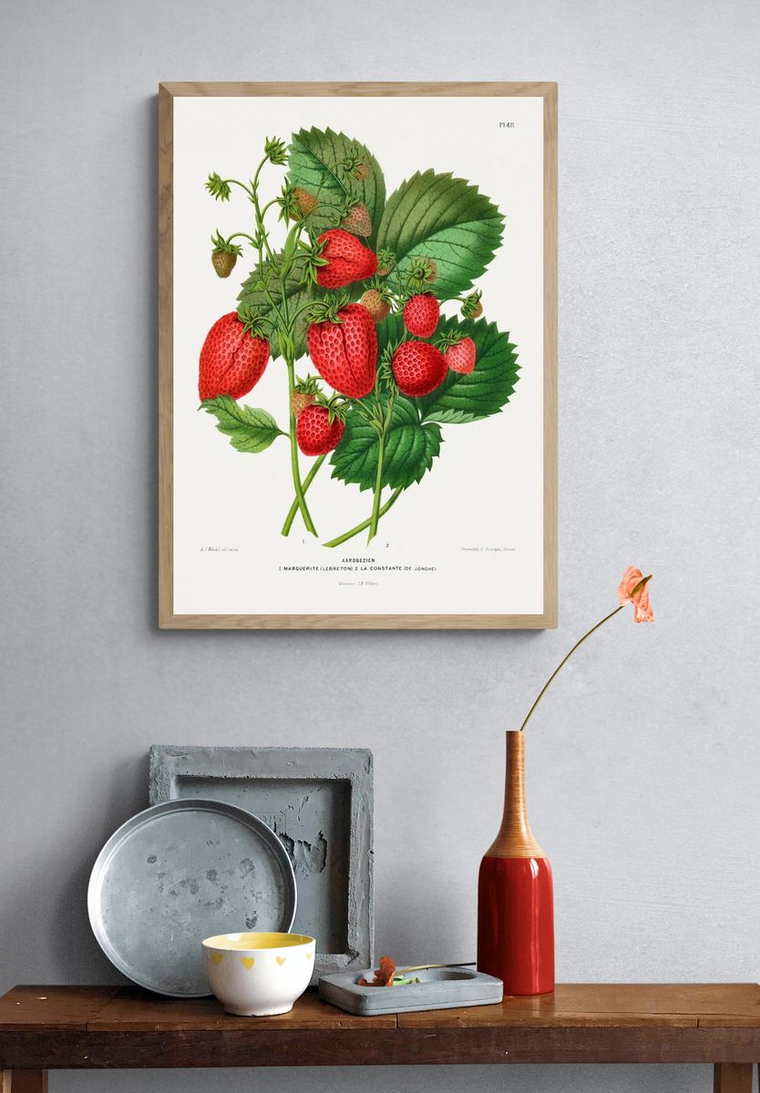 Aardbezien (strawberry) chromolithograph plates Abraham. — room view 3